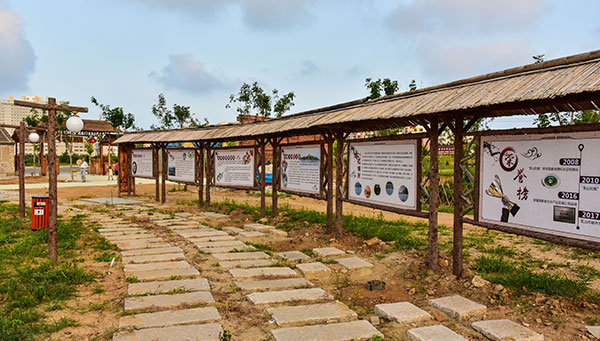 25.jpg 25.jpg